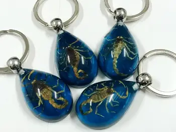 TRANSPORT GRATUIT 10 BUC Picătură de Insecte Breloc de Aur Scorpion Specimen albastru jos cheie inel TAXIDERMIE CADOU