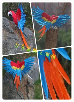 Noua simulare pasăre model de polietilenă & blănuri de simulare papagal papusa cadou despre 55x40cm 1811