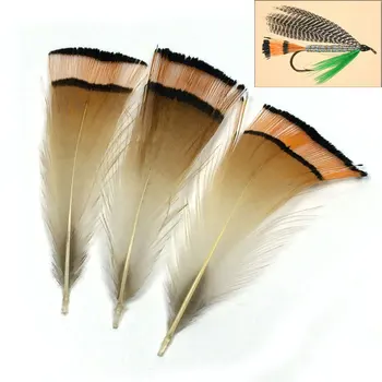 100BUC Naturale Fazanul de Aur Cap Pană Fly Tying Folosit pentru Cozi pe Royal Coachman