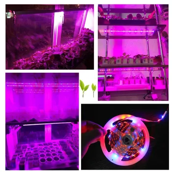 5M plante Led-uri Cresc de Lumină Strip DC 12V rezistent la apa 3 4 5 Roșii 1 floare Albastră Lampa pentru interior cu efect de seră Hidroponică Adaptor de Acvariu