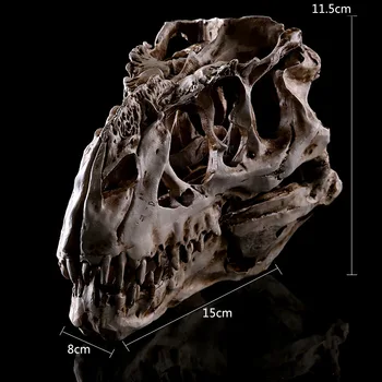 8x15x11.5cm / mobilier de Interior decor personalizat Tyrannosaurus rex dinozaur craniu specimen rășină craniu de Halloween