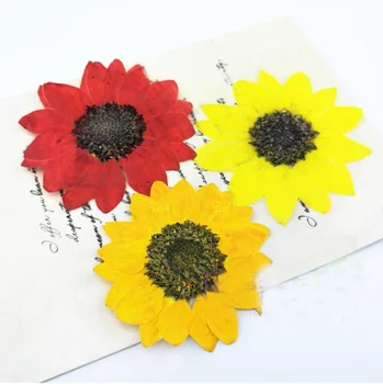 120pcs 5cm Apăsat Uscate Rosu/Galben Floare de floarea-Soarelui Planta Ierbar Pentru Bijuterii Pandantiv Inel Cercei Floare a Face Accesorii