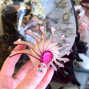 Colorate Natural Scoică Ornamente Crescut Nautilus Fosili Cadouri Creative Acasă