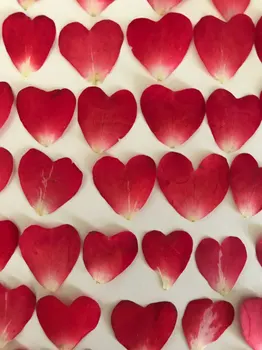 2018 Petală De Trandafir De Culoare Roșie Uscate De Presă Cap De Floare Pentru Decor Nunta 63 Buc
