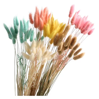 1 pachet(50 de cap) Denisfen Naturale Uscate de Flori Colorate Coada de Iepure Iepuras Dragut Flori pentru Decorarea Acasă DF1753